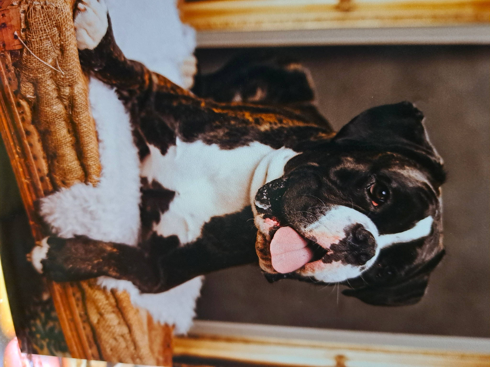 Sonrem De Las Vuidas Negras