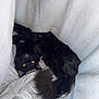 black_cat, cat, cozy, curious, cute, domestic_animal, feline, fluffy_tail, fur, indoor, lying_down, pet, relaxed, resting, sleepy, soft_texture, upside_down, whiskers, white_sheets, yellow_eyes