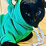 cat, black_cat, hoodie, green_hoodie, pet_clothing, animal, indoor, floor, tile_floor, cute, costume, ears, whiskers, domestic_cat, feline, resting, portrait, closeup, eyes, playful