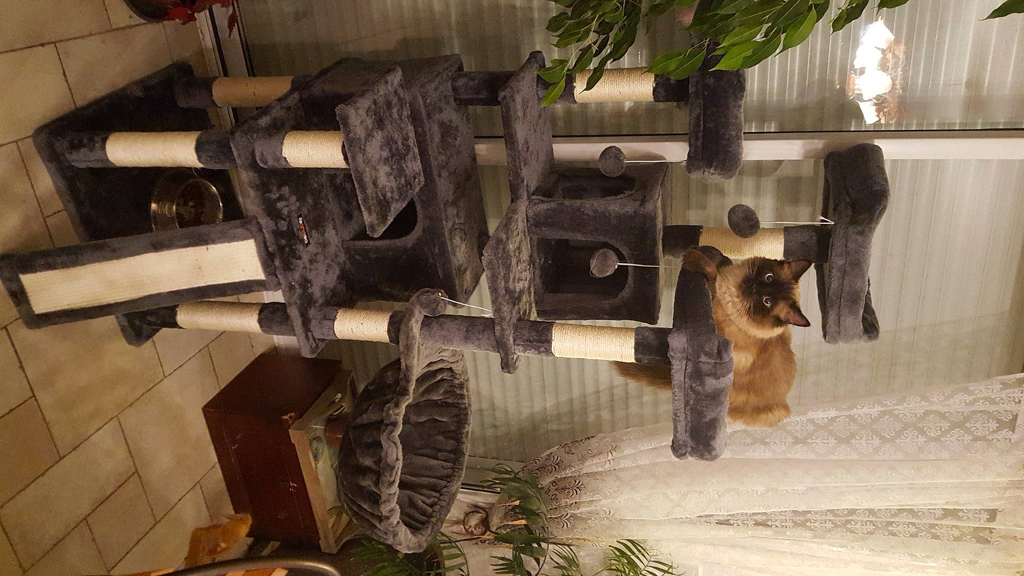 Raoul participe au concours pour gagner de l'argent avec cette photo : art, auto_part, automotive_tire, automotive_wheel_system, building, cannon, curtain, hardwood, houseplant, machine, metal, motor_vehicle, plant, room, tire, tree, vehicle, wheel, wood, working_animal