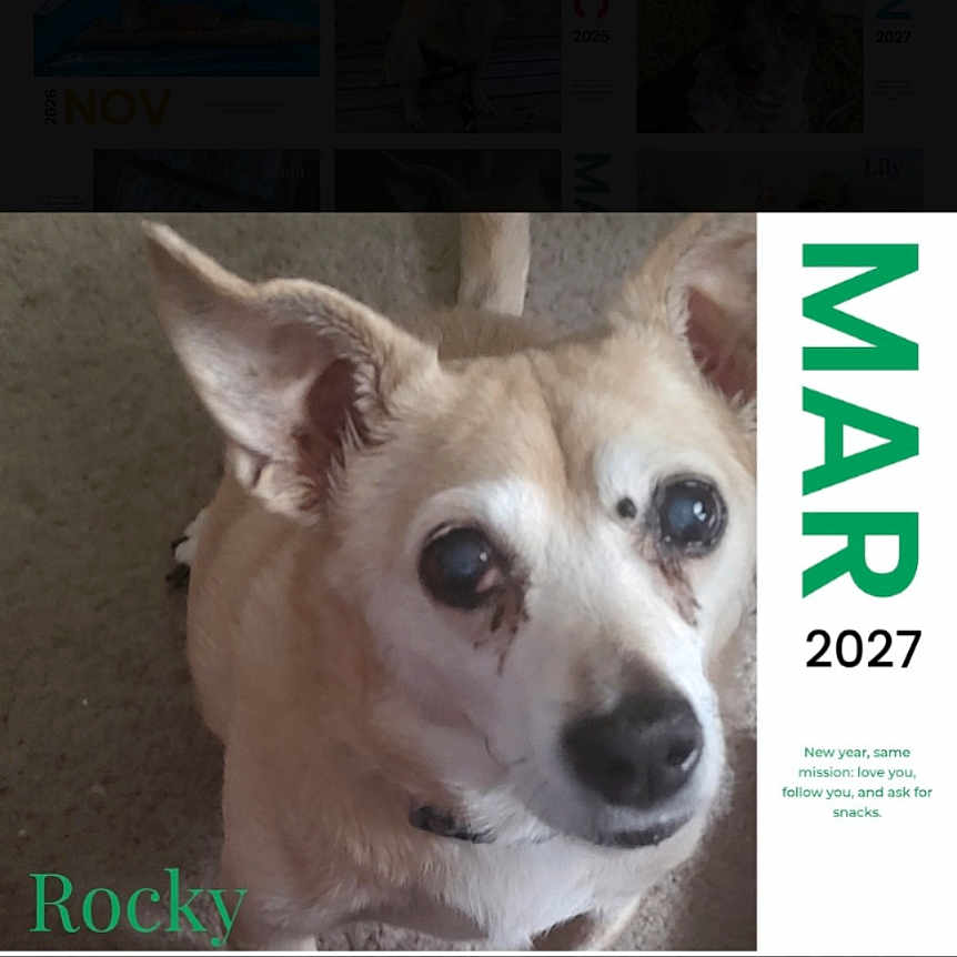 Rocky