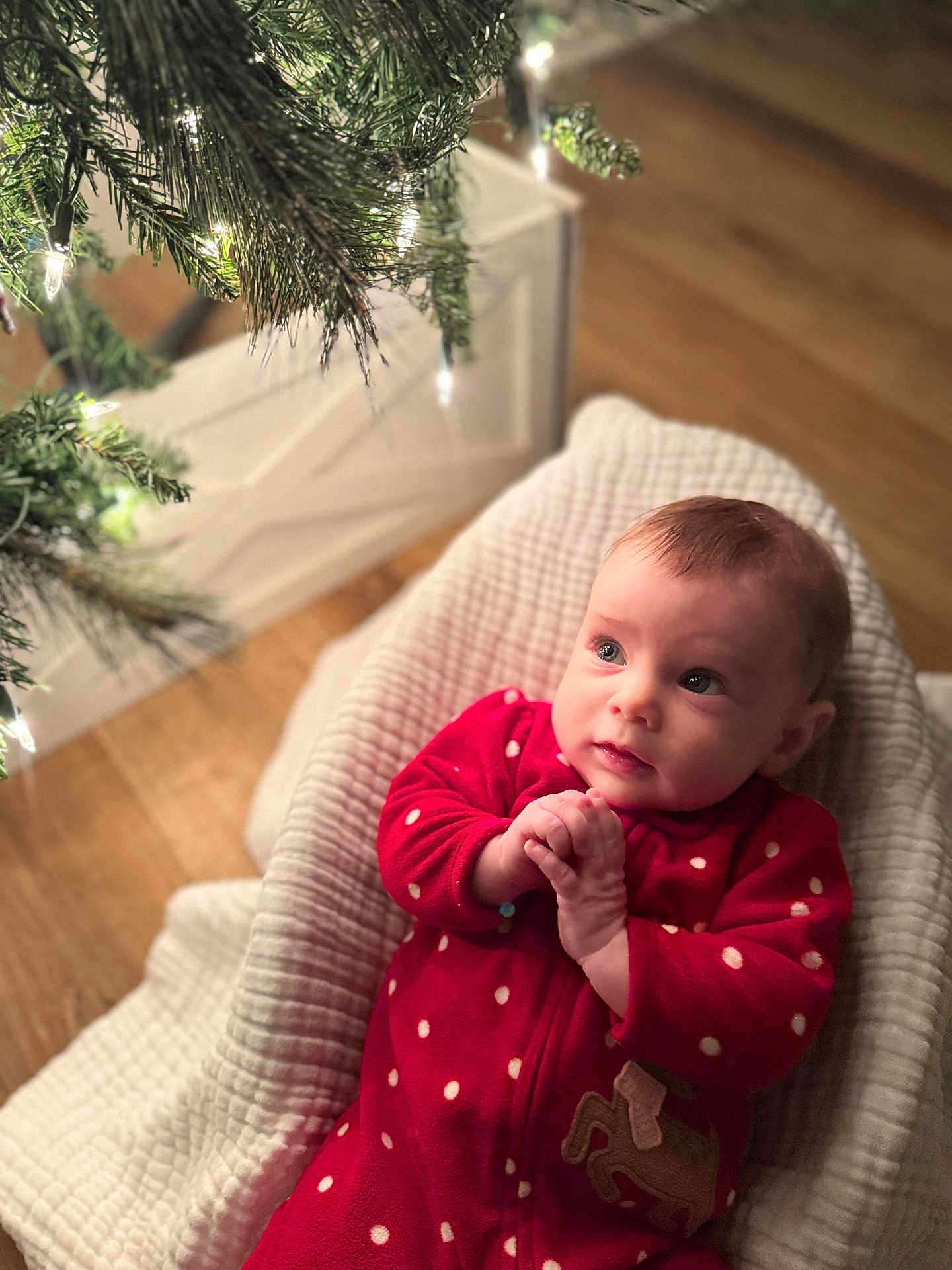 Sarah is registered to the contest to win money with this photo: baby, infant, red_onesie, polka_dots, blanket, christmas_tree, tree_lights, holiday, indoors, wood_floor, cute, child, portrait, soft_texture, warm_lighting, seasonal, festive, toddler, face, expression