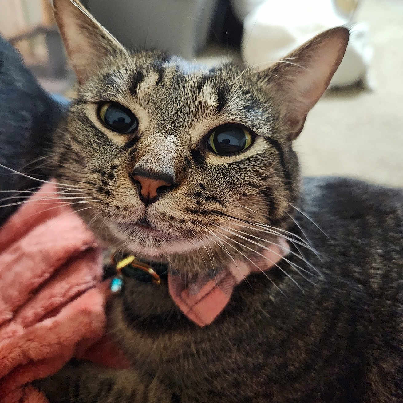 Milo