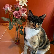 Frida joined the competition — help win amazing prizes! animal, calico, cat, curious, cute, domestic_cat, feline, flower, fur, green_leaves, household, indoor, orange_wall, pet, plant, roses, sitting, tile_floor, vase, whiskers