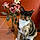 Frida