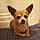 Chico