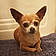 Chico