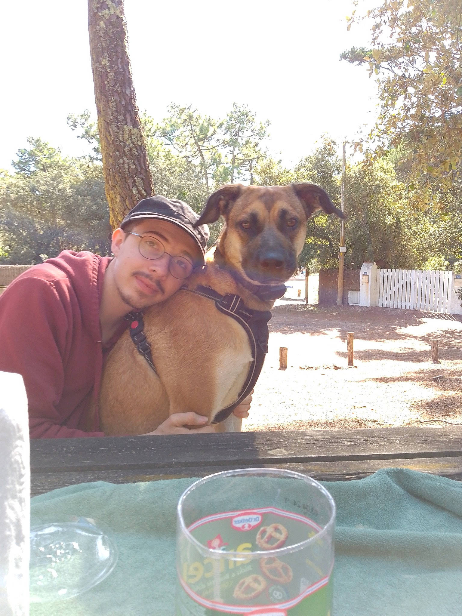 Tallya a rejoint le concours — aidez-le/la à gagner de superbes lots ! canidae, carnivore, collar, companion_dog, dog, dog_breed, dog_collar, eyewear, fawn, hat, leisure, recreation, sky, smile, sporting_group, sunglasses, tableware, tree, vacation, working_animal