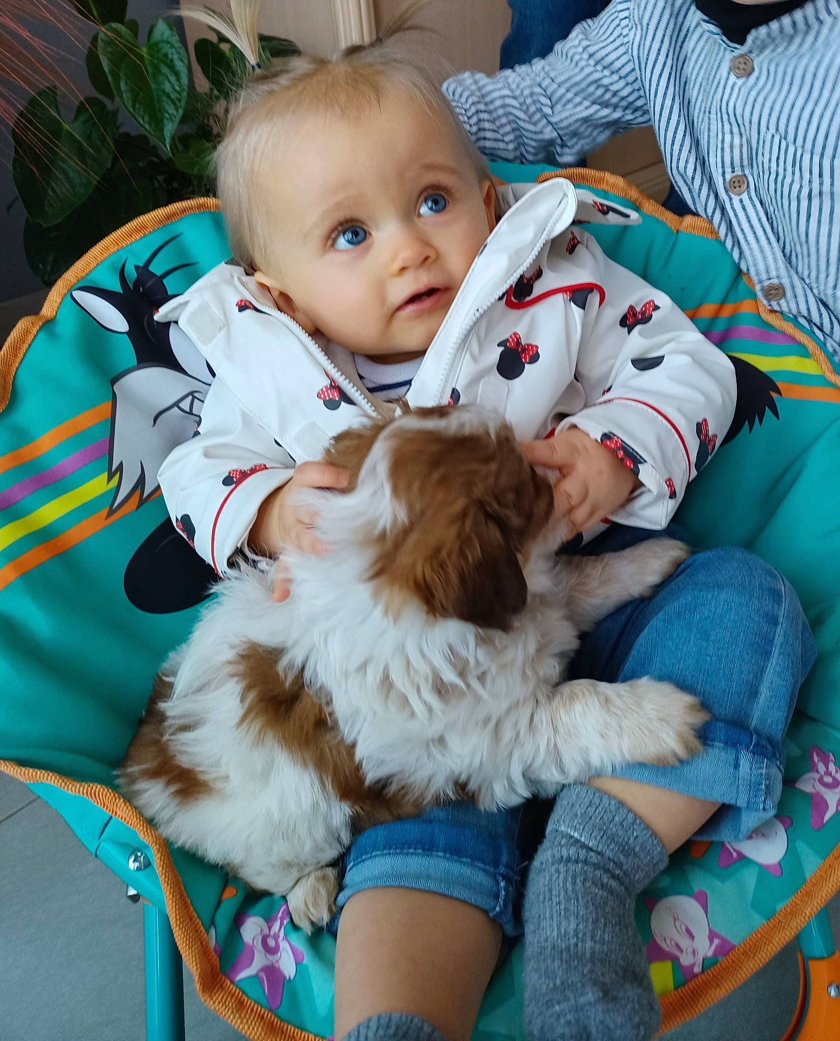 Ilana a rejoint le concours — aidez-le/la à gagner de superbes lots ! baby, baby_toddler_clothing, carnivore, child, comfort, companion_dog, dog_breed, fun, fur, grass, happy, hat, human_leg, lap, leg, mammal, person, sitting, sporting_group, toddler