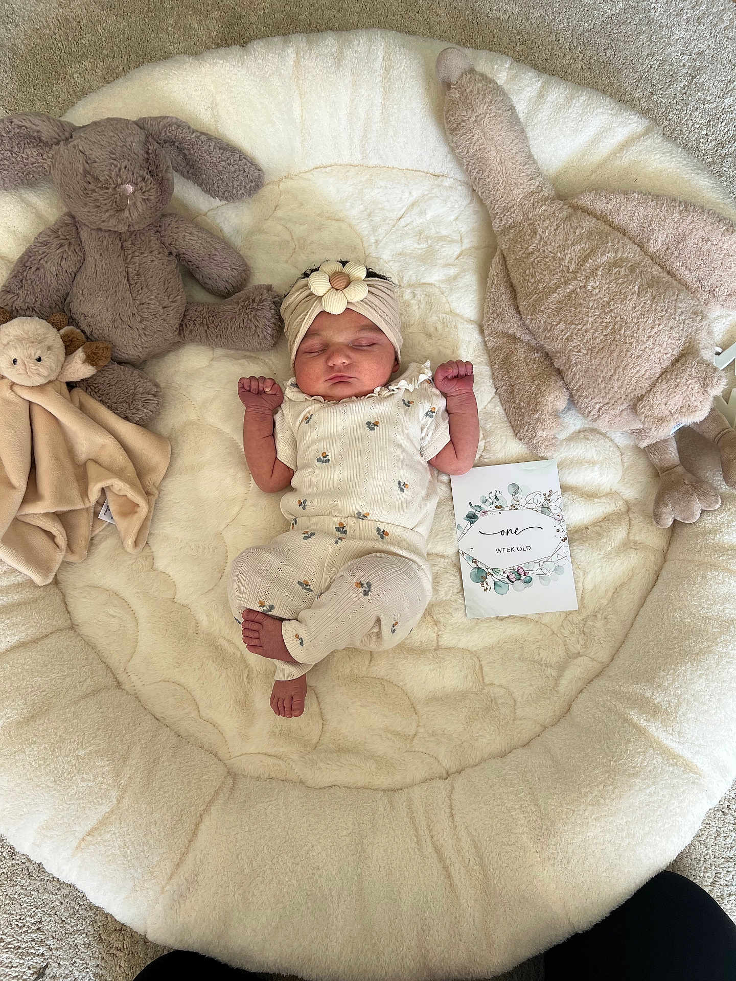 Odette is registered to the contest to win money with this photo: baby, newborn, sleeping, plush_toy, stuffed_animal, headband, floral_outfit, cushion, carpet, milestone_card, soft_texture, infant, cute, peaceful, indoors, child, pale_colors, resting, adorable, baby_clothes
