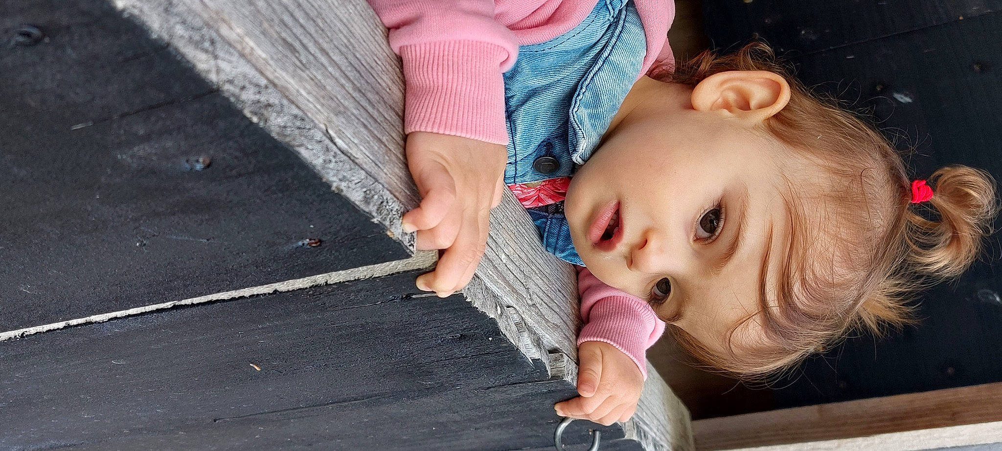 Louna participe au concours pour gagner de l'argent avec cette photo : arm, baby_toddler_clothing, cheek, chin, dress, eye, eyelash, finger, gesture, hand, happy, iris, lip, mouth, neck, nose, person, plant, skin, tree