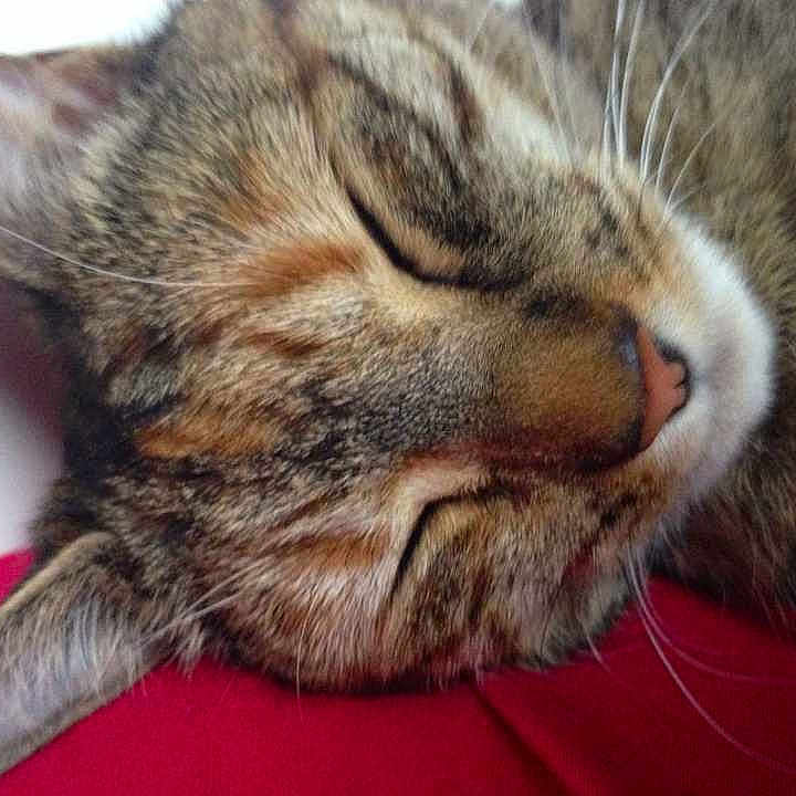 Lily is registered to the contest to win money with this photo: