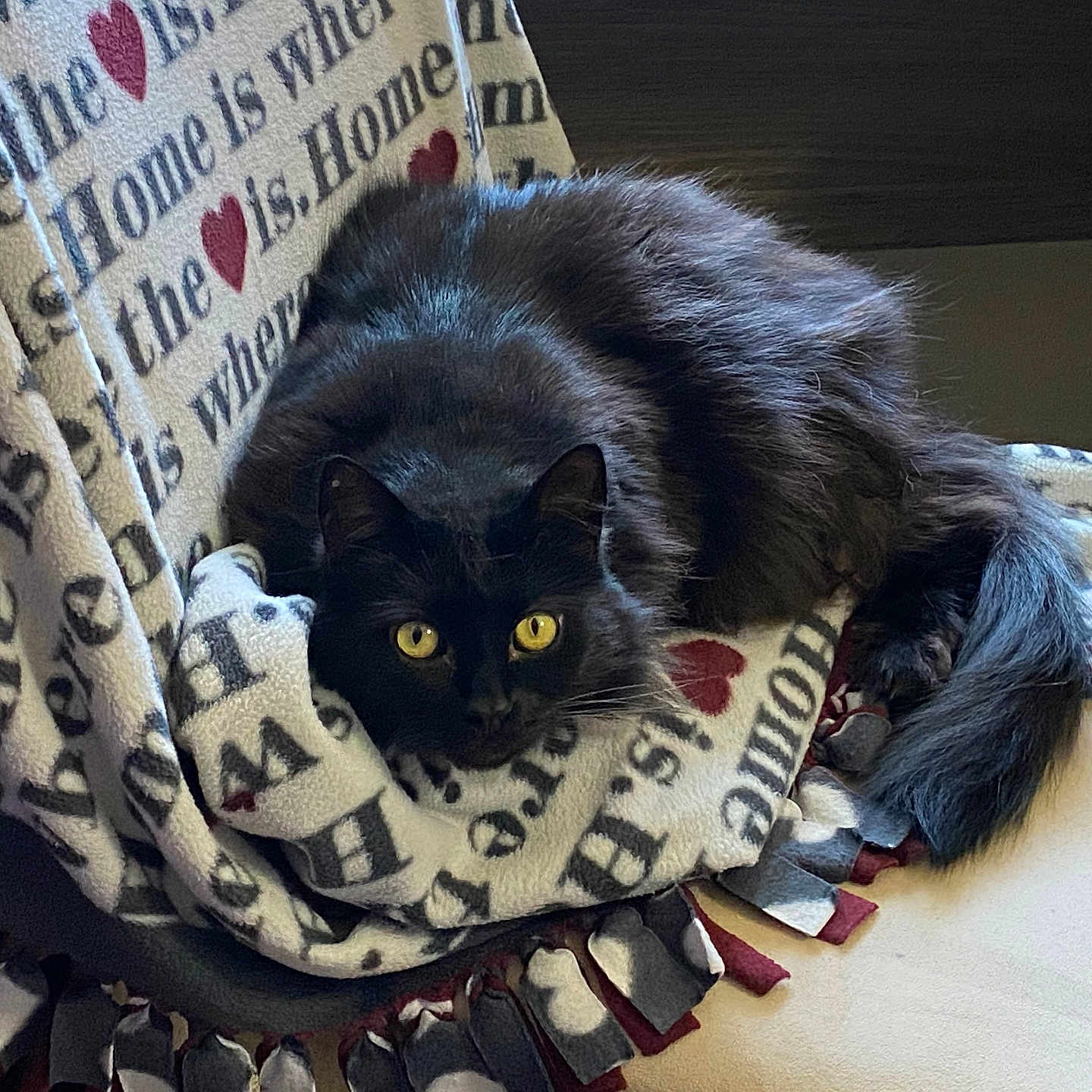 Percy