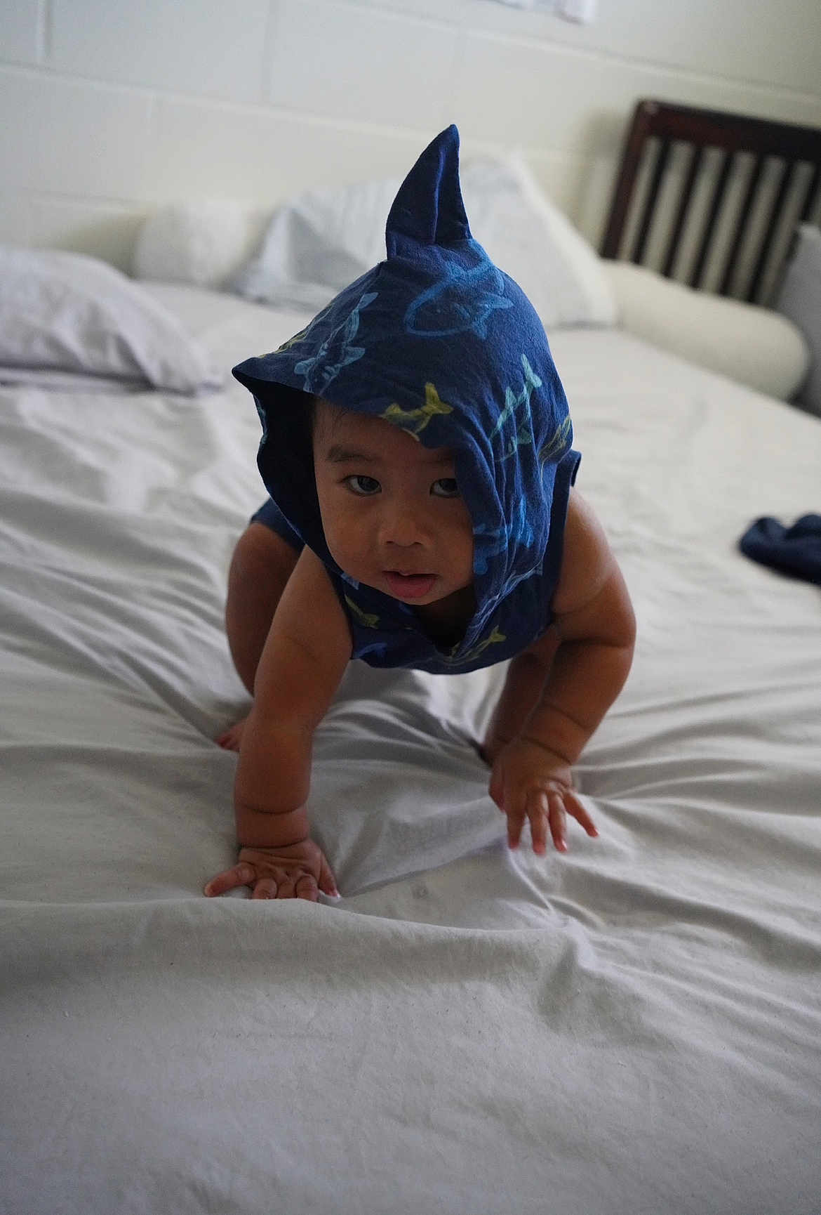 Kea joined the competition — help win amazing prizes! baby, child, crawling, blue_hood, bed, bedroom, pillow, blanket, infant, cute, curious, person, indoors, furniture, headwear, playful, skin, young_child, expression, clothing
