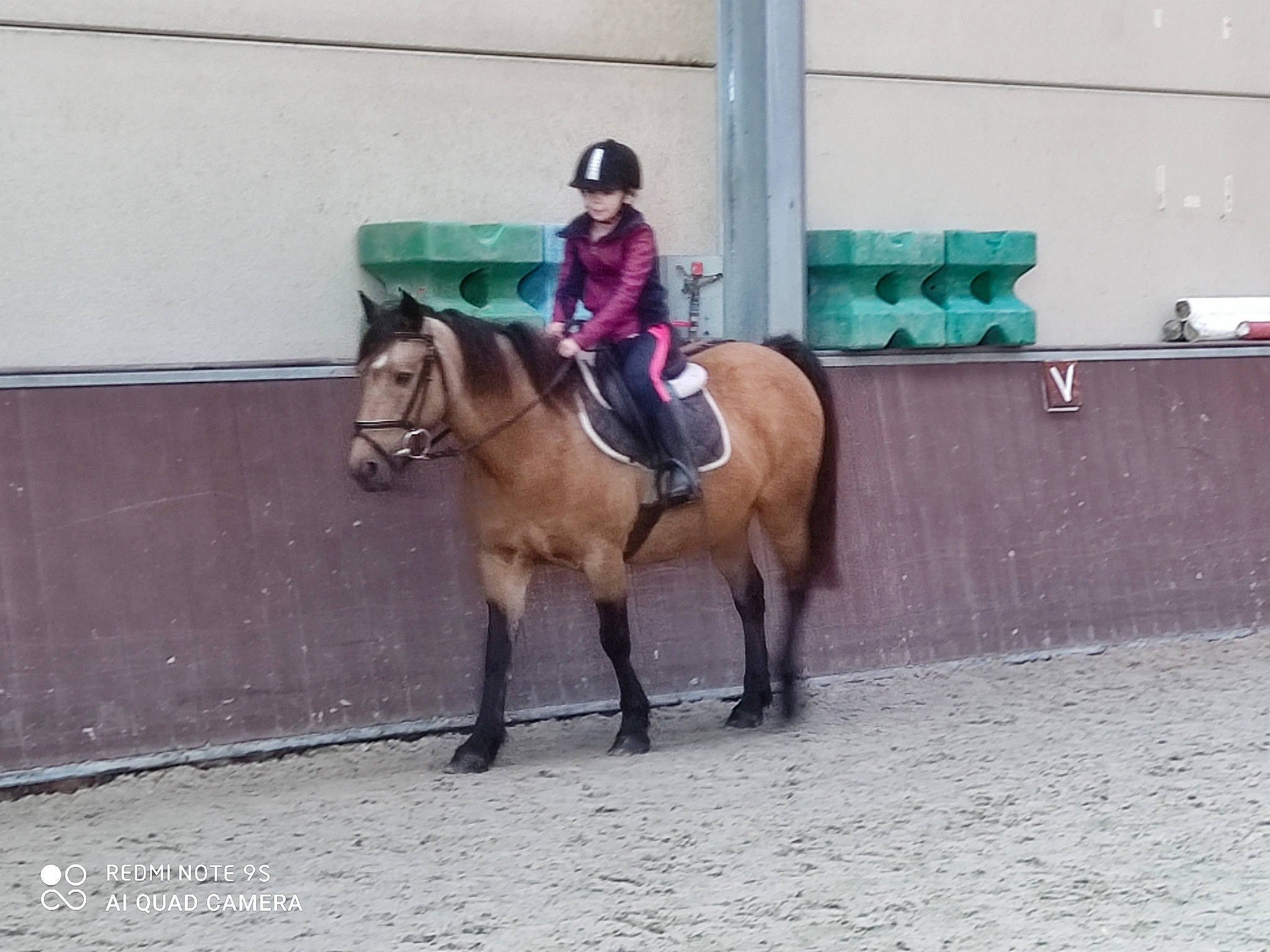 Maelys participe au concours pour gagner de l'argent avec cette photo : bit, bridle, english_pleasure, english_riding, equestrian_helmet, equestrian_sport, equestrianism, headwear, helmet, horse, horse_supplies, horse_tack, jockey, mane, pack_animal, person, recreation, rein, saddle, sports