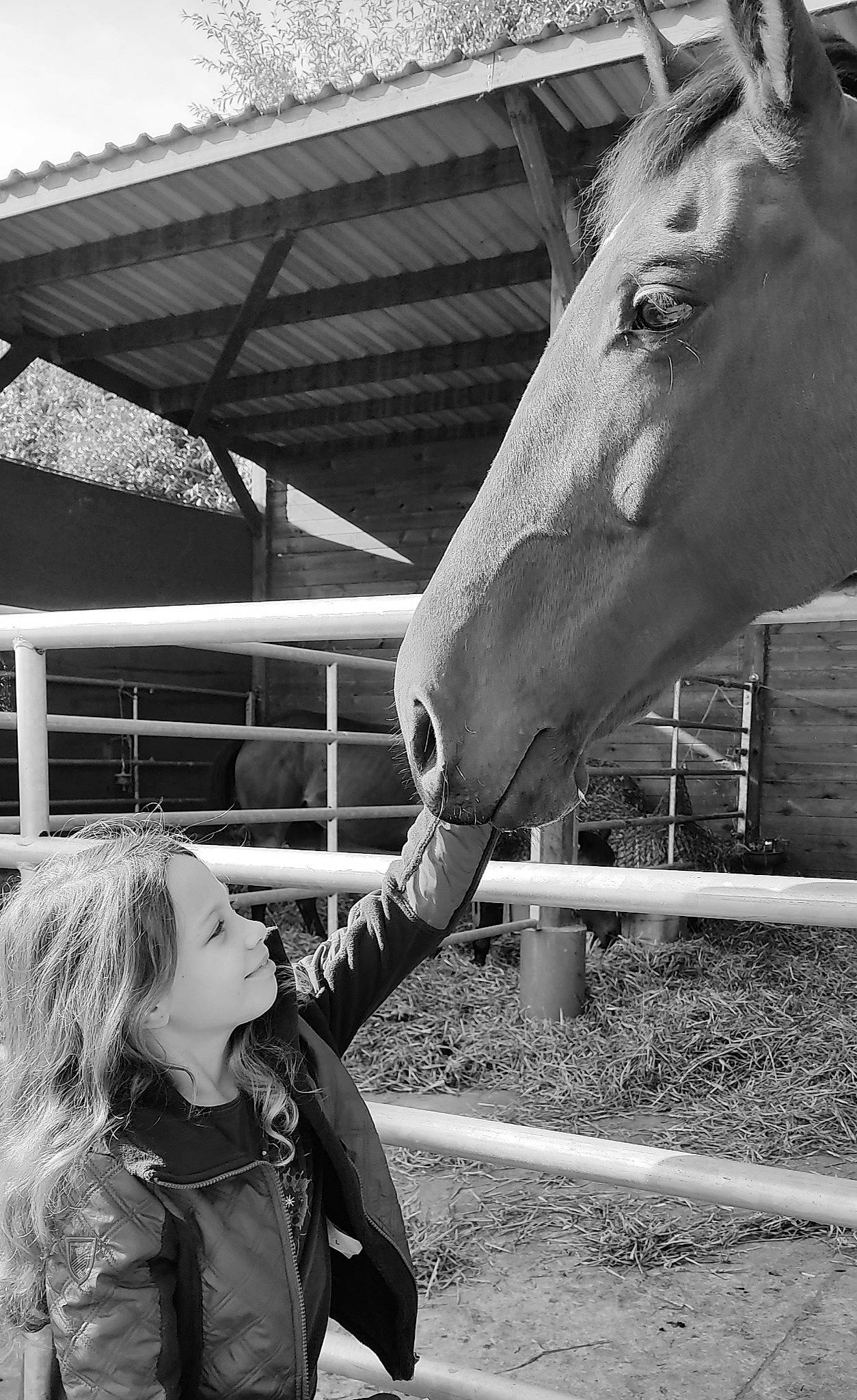 Maelys participe au concours pour gagner de l'argent avec cette photo : black, black_and_white, bridle, facial_expression, fence, grass, hair, happy, horse, horse_supplies, horse_tack, jacket, jaw, joy, landscape, person, photograph, plant, style, tree
