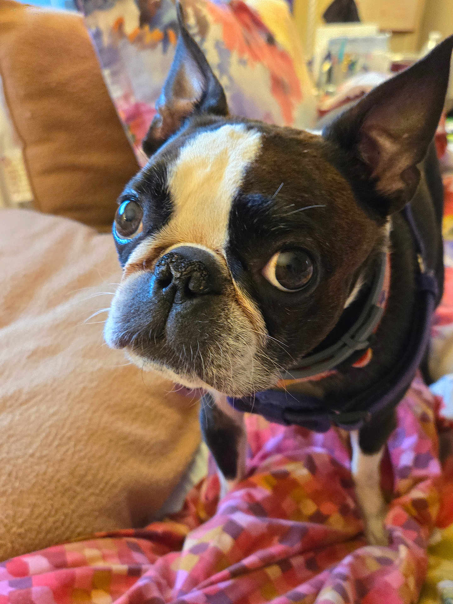 Jax