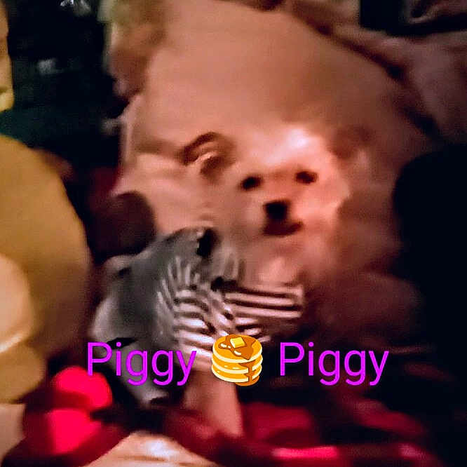 Miss Piggy