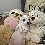 dog, stuffed_animal, plush_toy, white_dog, chihuahua, blanket, purple_diaper, sloth_toy, teddy_bear_toy, indoor, pet, cute, relaxed, lying_down, furry, cozy, canvas_bag, animal, soft_toys, home