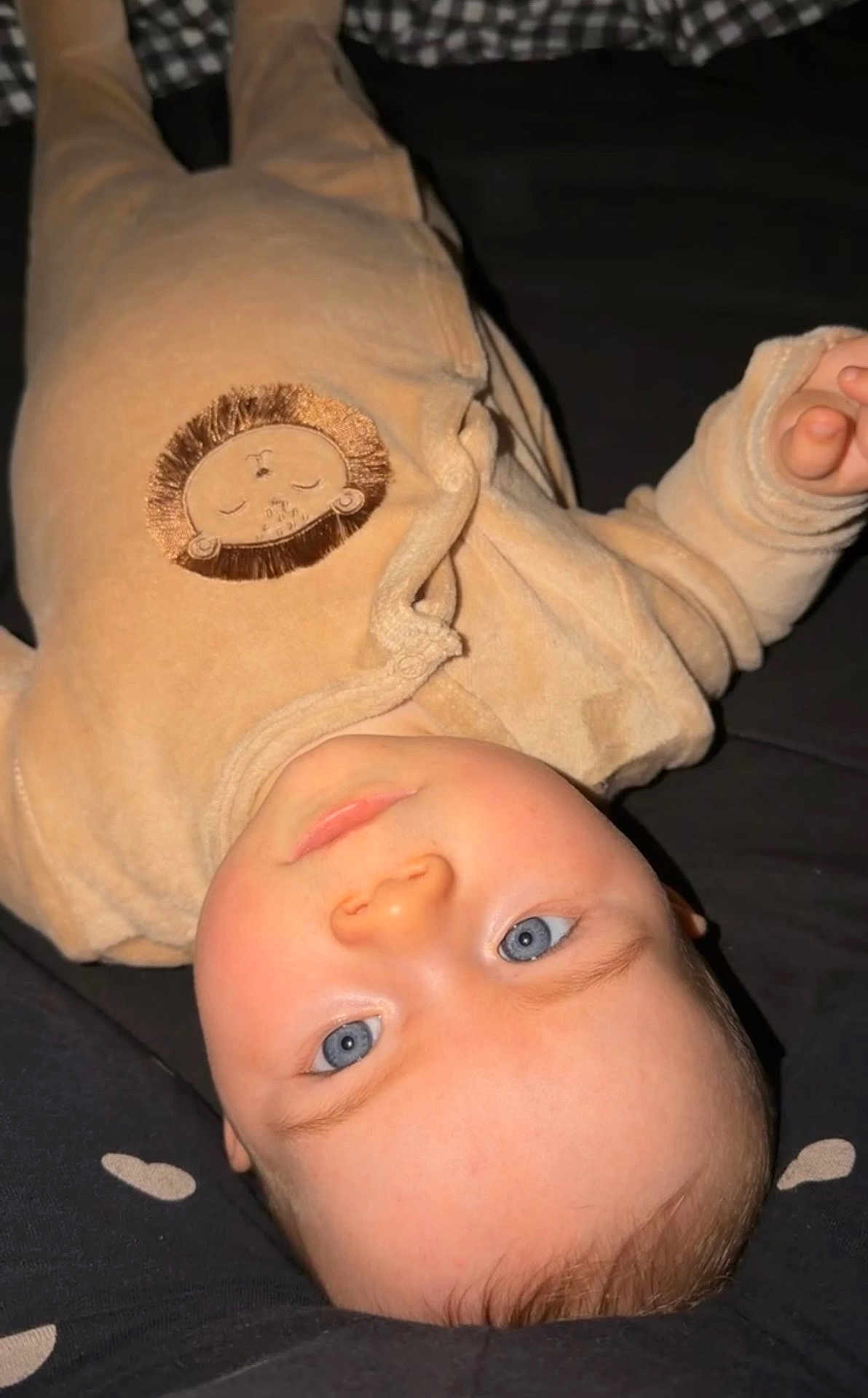 Sohan participe au concours pour gagner de l'argent avec cette photo : baby, infant, blue_eyes, onesie, lion_patch, sleepwear, laying_down, portrait, close_up, face, cheeks, blanket, bed, indoor, cute, pale_skin, light_hair, gaze, hand, soft_fabric