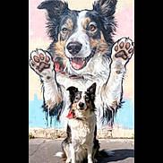 Vagabond participe au concours pour gagner de l'argent avec cette photo : animal, black, border_collie, brown, canine, collar, colorful, dog, mural, outdoor, painting, pavement, paw_prints, pet, portrait, sitting, street_art, sunlight, wall, white