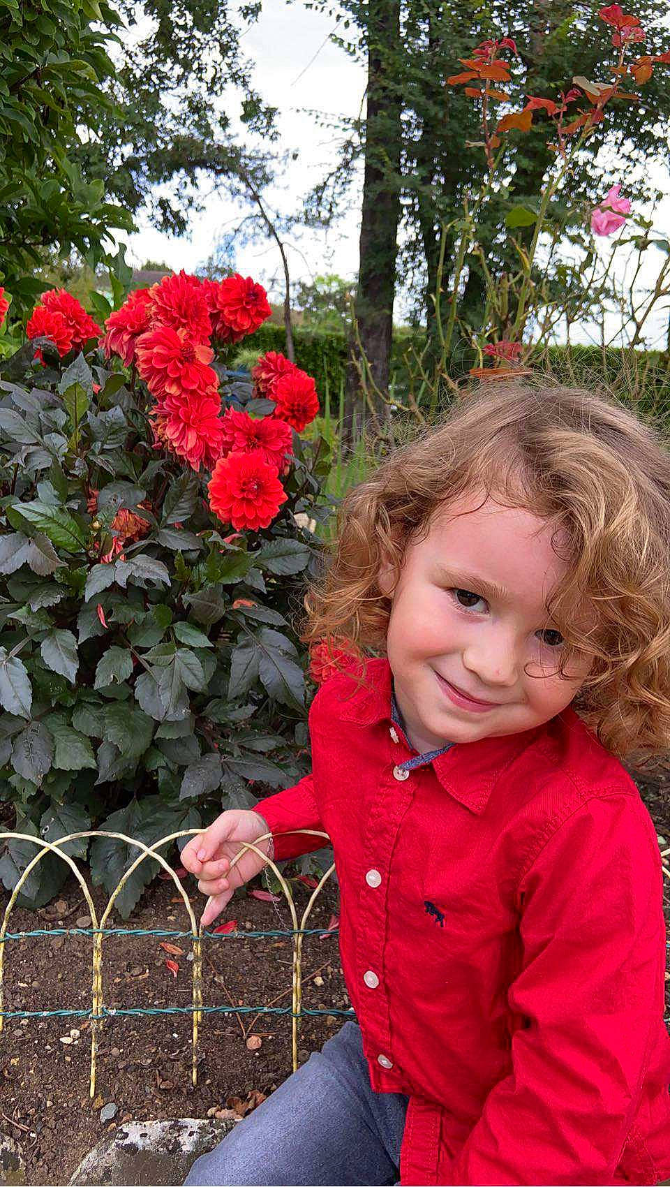 Hugo participe au concours pour gagner de l'argent avec cette photo : baby_toddler_clothing, botany, branch, fence, flower, grass, happy, joy, mammal, nature, people_in_nature, person, petal, pink, plant, red, smile, standing, toddler, tree