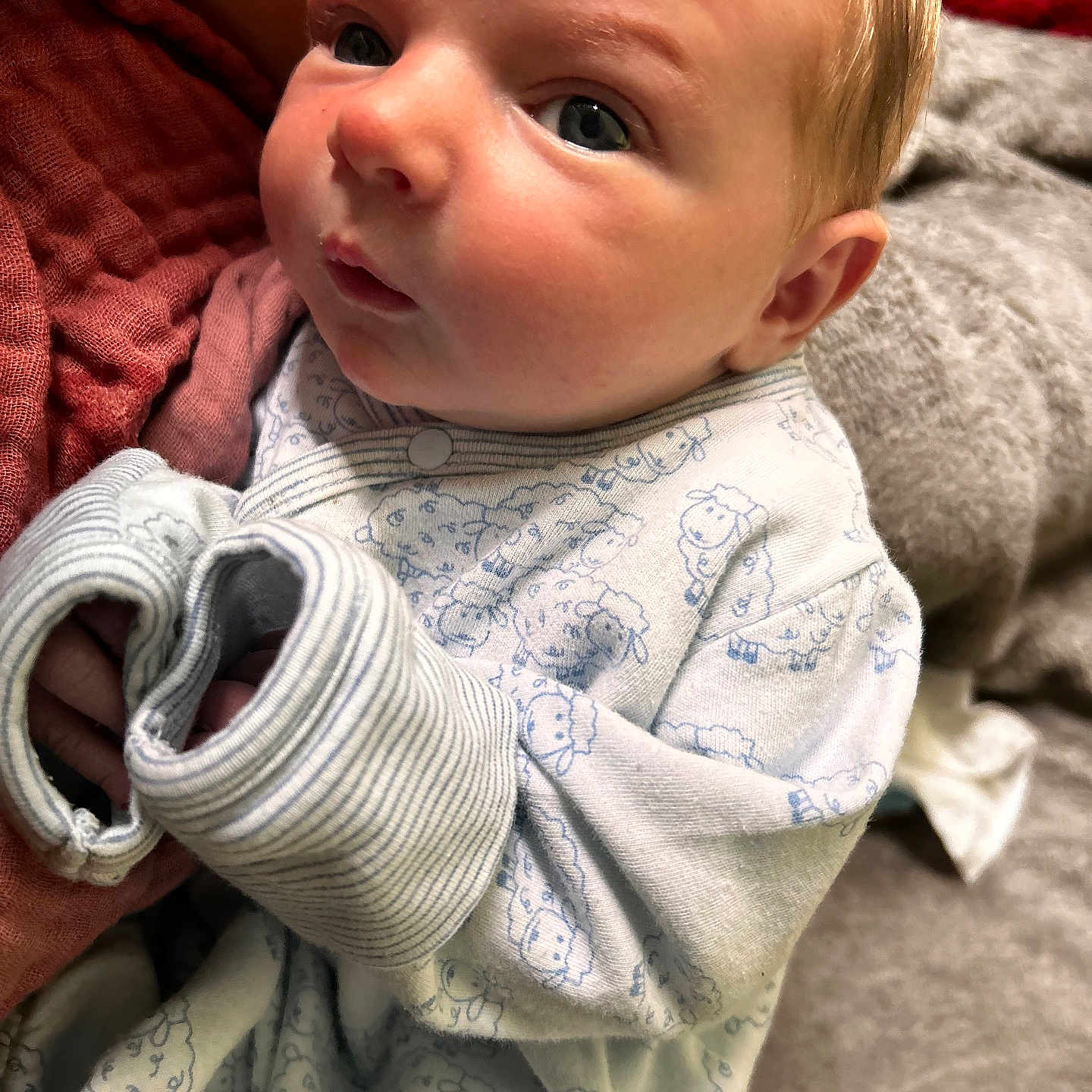 Hudson joined the competition — help win amazing prizes! baby, infant, onesie, sheep_pattern, clothing, blanket, face, hand, skin, cute, newborn, portrait, soft_texture, indoors, cozy, child, person, sleepwear, young, warm