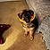 Ryker