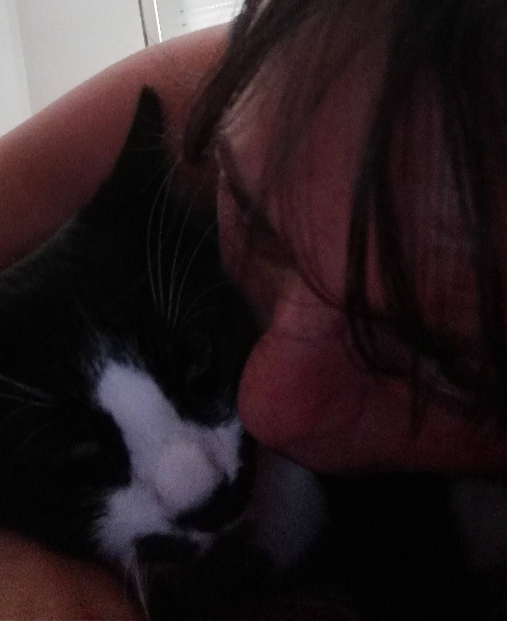 Moustache a rejoint le concours — aidez-le/la à gagner de superbes lots ! black, black_hair, cat, ear, felidae, fur, hair, hand, leg, long_hair, mouth, nap, neck, nose, photography, selfie, skin, small_to_medium_sized_cats, tail, whiskers