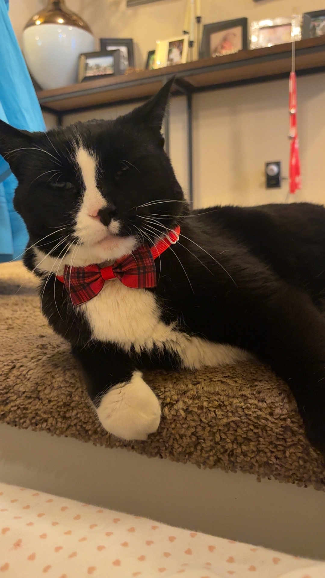 Oscar