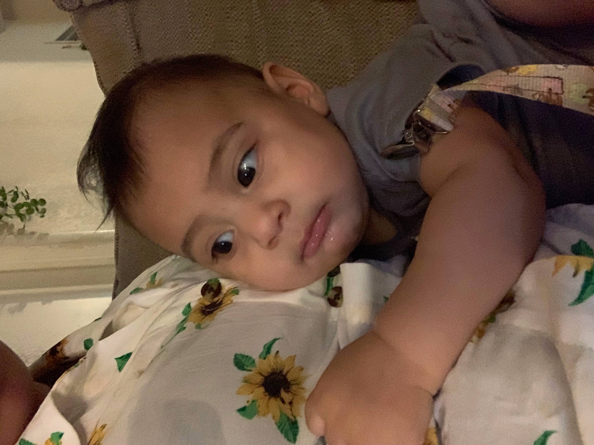 Ashyr joined the competition — help win amazing prizes! cheek, chin, dress, eye, eyebrow, eyelash, facial_expression, forehead, hair, hand, happy, human_body, iris, lip, mouth, nose, organ, person, plant, skin