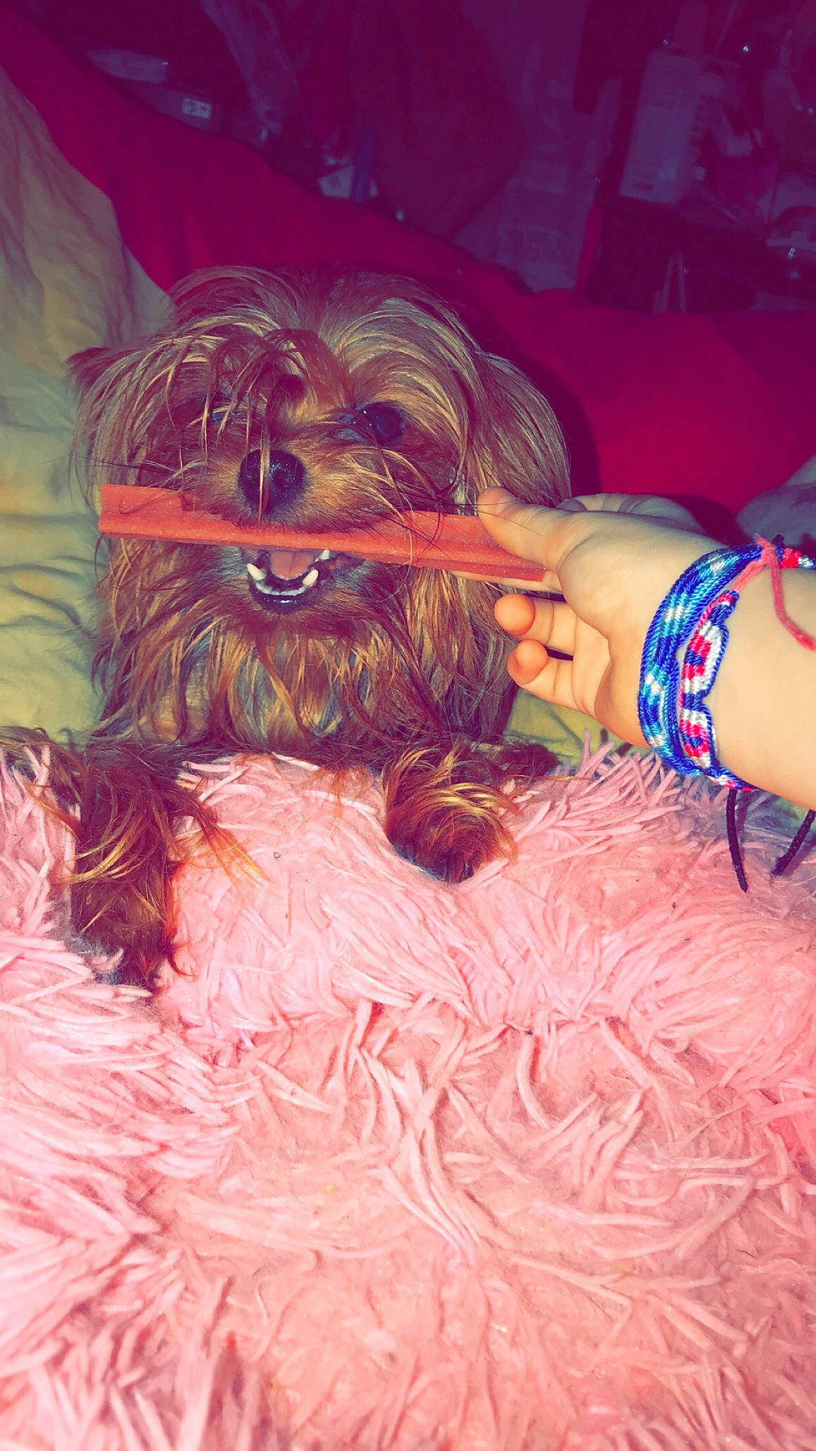 Maïna a rejoint le concours — aidez-le/la à gagner de superbes lots ! art, artist, beard, fashion_design, feather, fictional_character, fun, hand, human_leg, magenta, nail, painting, pattern, peach, pink, textile, toy, visual_arts, wood, wrist