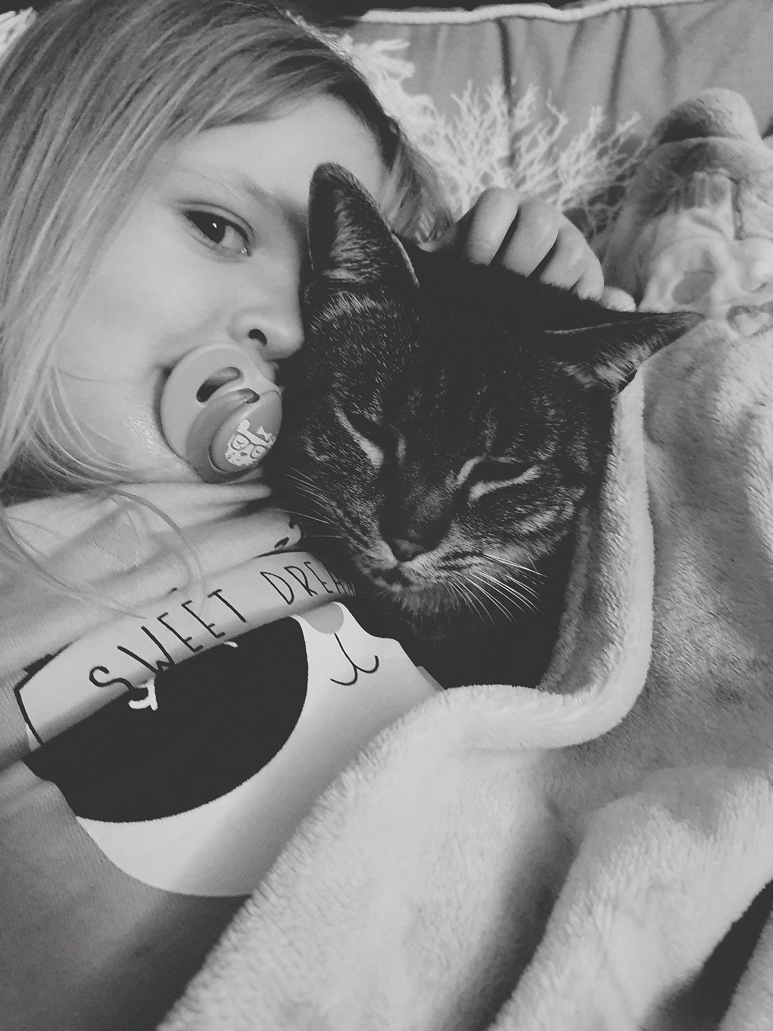 Pablo joined the competition — help win amazing prizes! asian, black_and_white, blond, carnivore, cat, comfort, ear, eye, felidae, kitten, lip, monochrome, photography, selfie, small_to_medium_sized_cats, style, whiskers, white