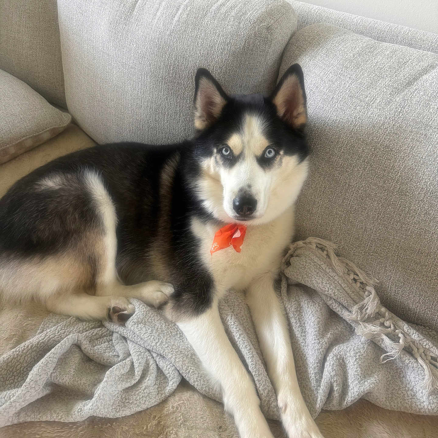 Kaiser