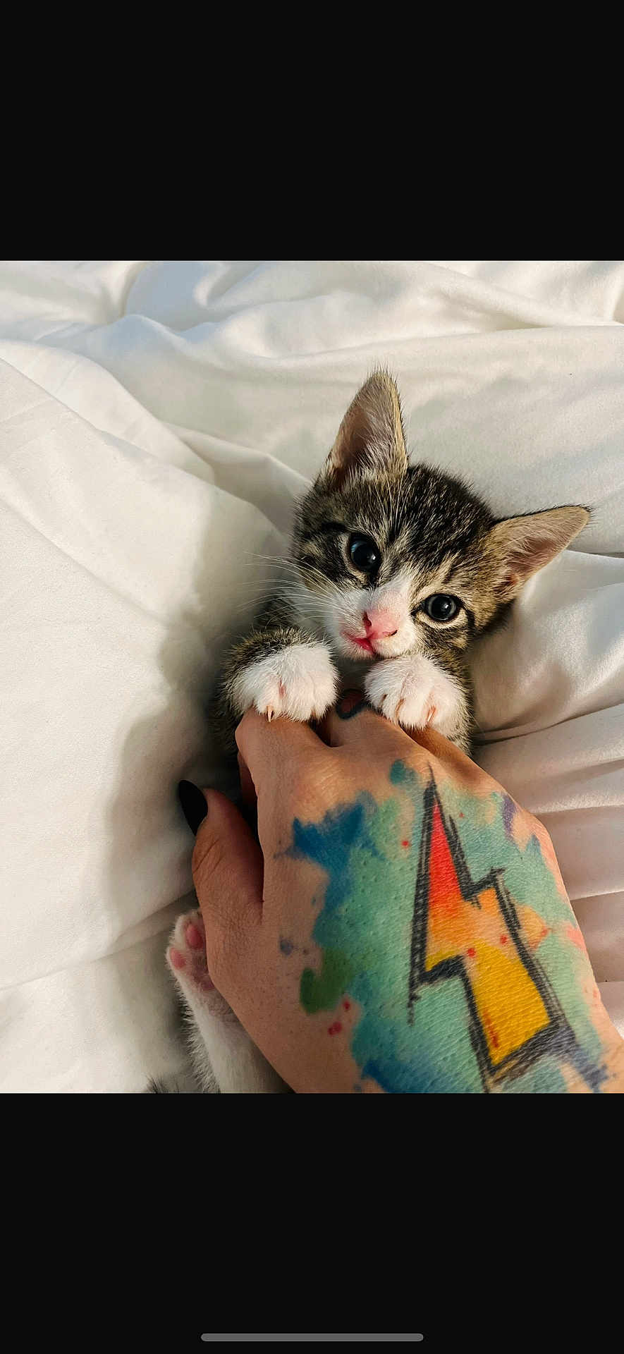 Kitty