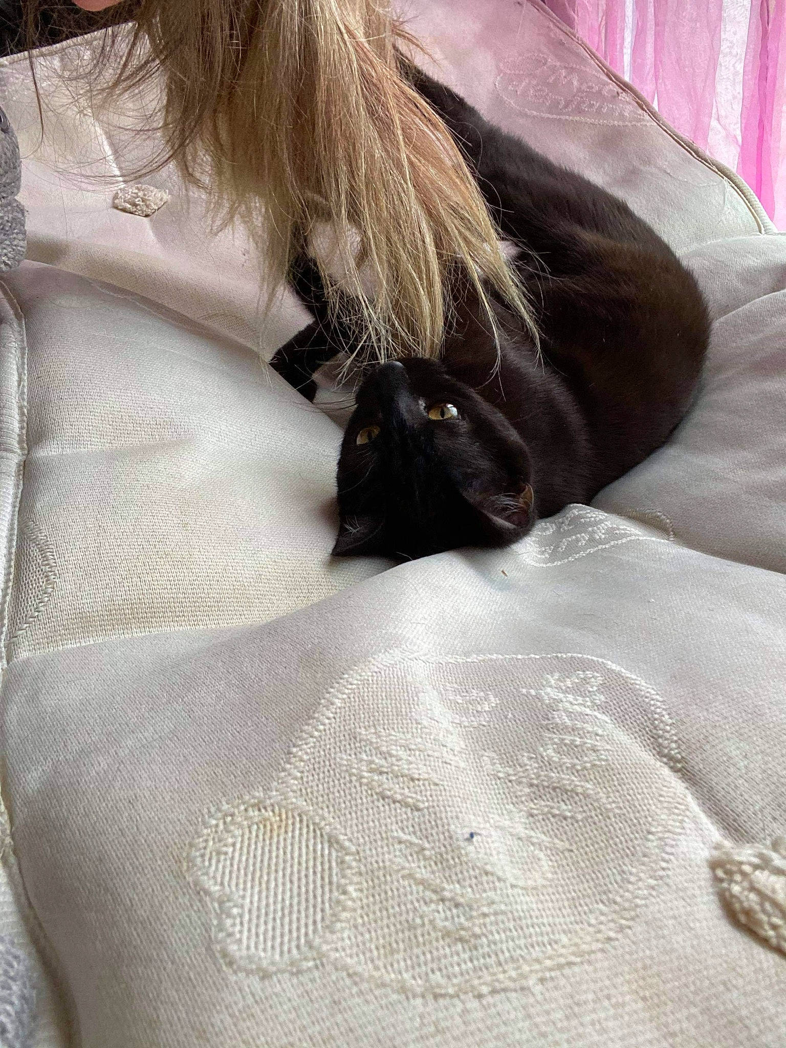 Mimi participe au concours pour gagner de l'argent avec cette photo : bed, bed_sheet, bedding, black, dress, fawn, fur, linens, long_hair, pillow, textile