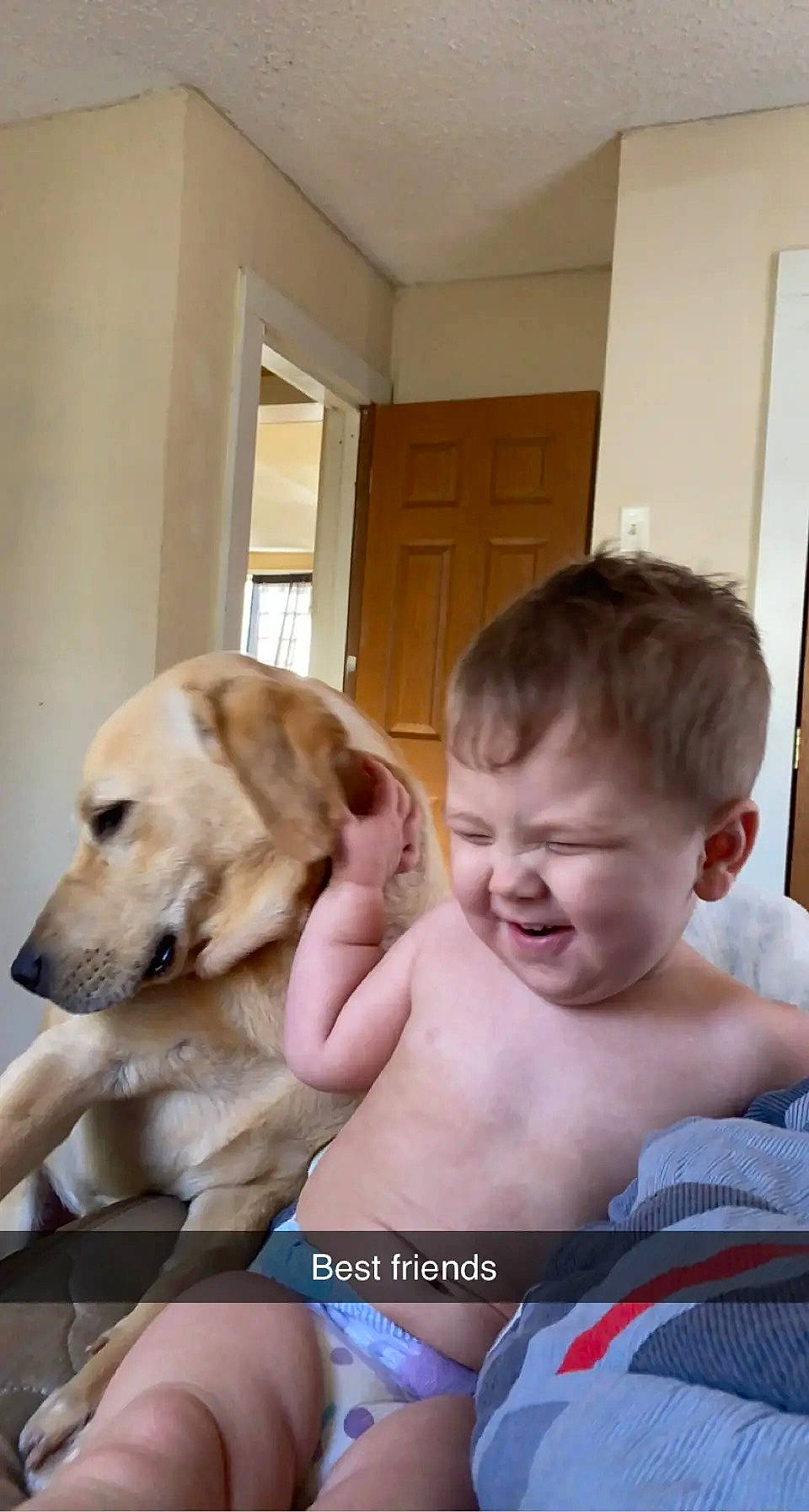 Cannon is registered to the contest to win money with this photo: barechested, canidae, carnivore, chest, comfort, companion_dog, dog, dog_breed, door, fawn, fixture, home_door, human, joy, labrador_retriever, mammal, organ, person, puppy, skin