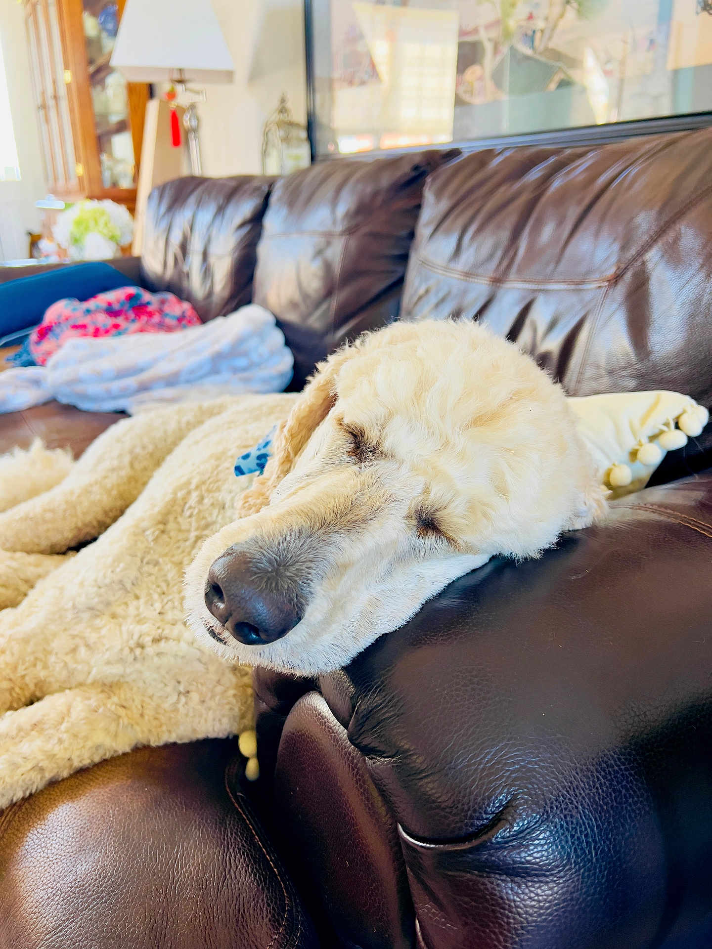 Otis