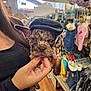 puppy, dog, hat, pet_store, person, hand, clothing, shelf, pet_accessories, indoor, brown_wood_floor, cute, young_dog, holding, fashion, ears, eyes, face, small_dog, shopping