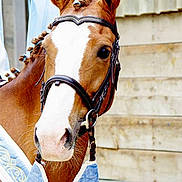 Petra participe au concours pour gagner de l'argent avec cette photo :