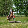 Petra participe au concours pour gagner de l'argent avec cette photo :