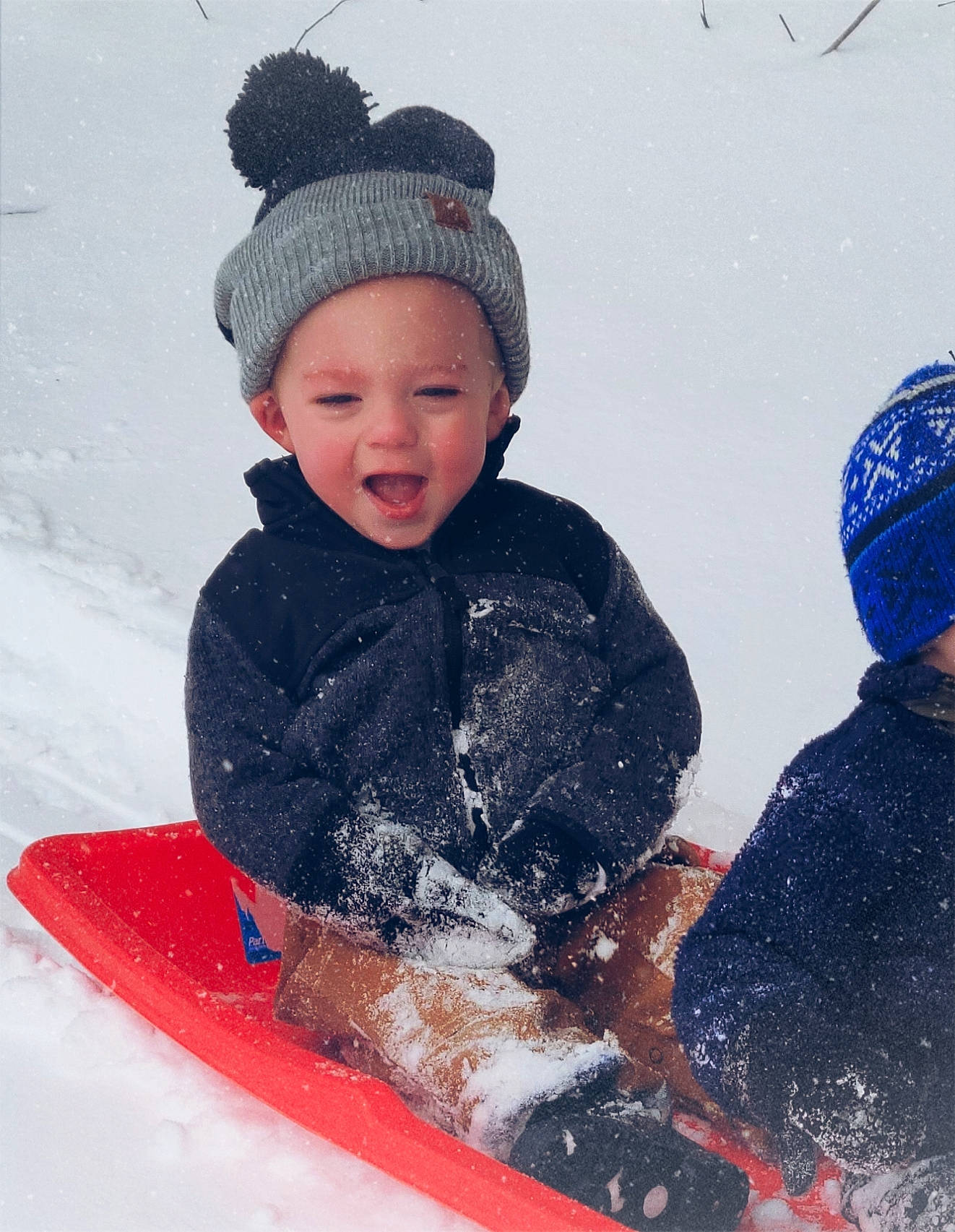 Sawyer is registered to the contest to win money with this photo: baby_toddler_clothing, beanie, bonnet, cap, cheek, child, costume_accessory, freezing, fun, headgear, headwear, knit_cap, person, playing_in_the_snow, precipitation, recreation, sled, sledding, snow, toddler