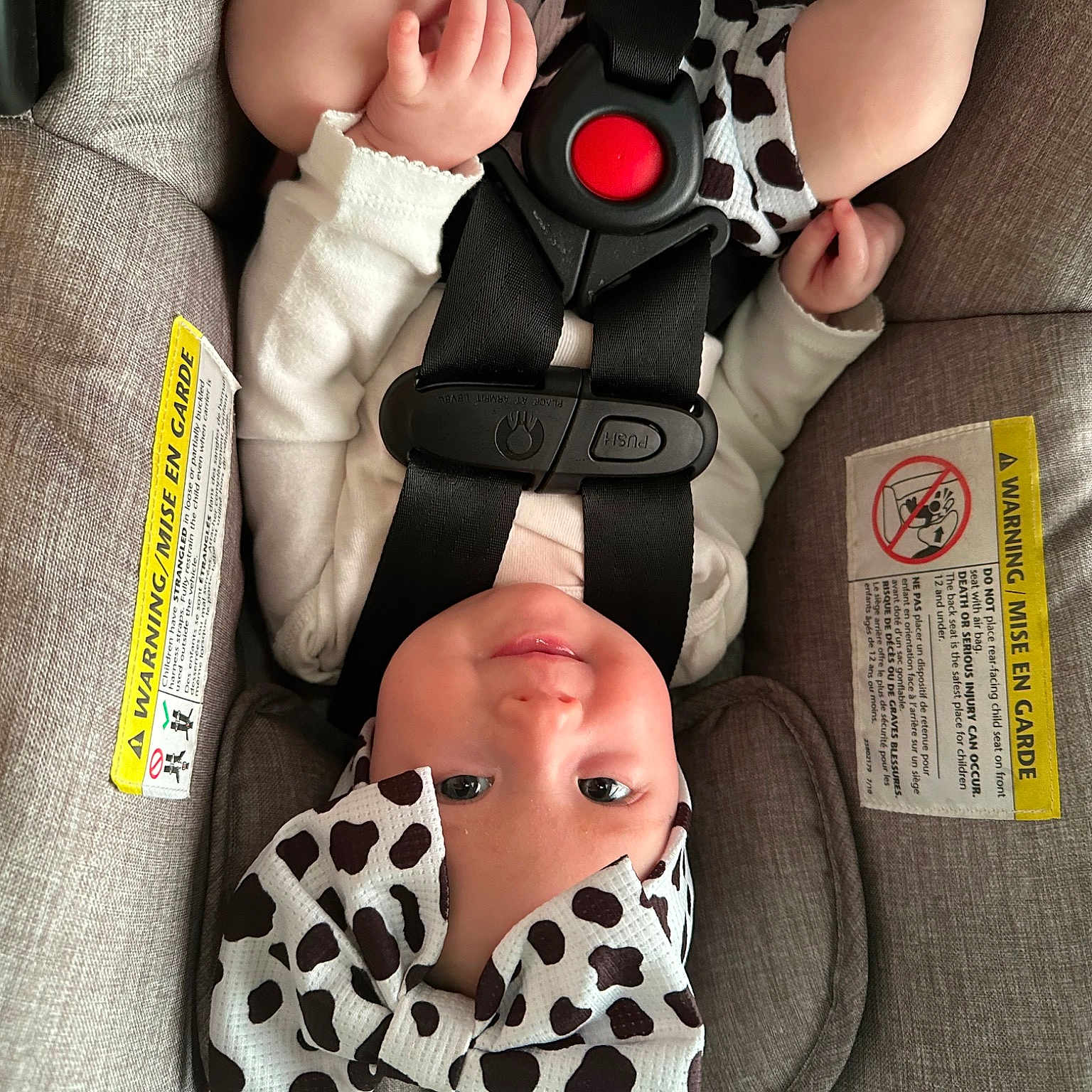 Aston joined the competition — help win amazing prizes! auto_part, automotive_design, black, car_seat, carmine, collar, comfort, design, fashion_accessory, finger, font, gesture, motor_vehicle, nail, personal_protective_equipment, photograph, product, sleeve, textile, white