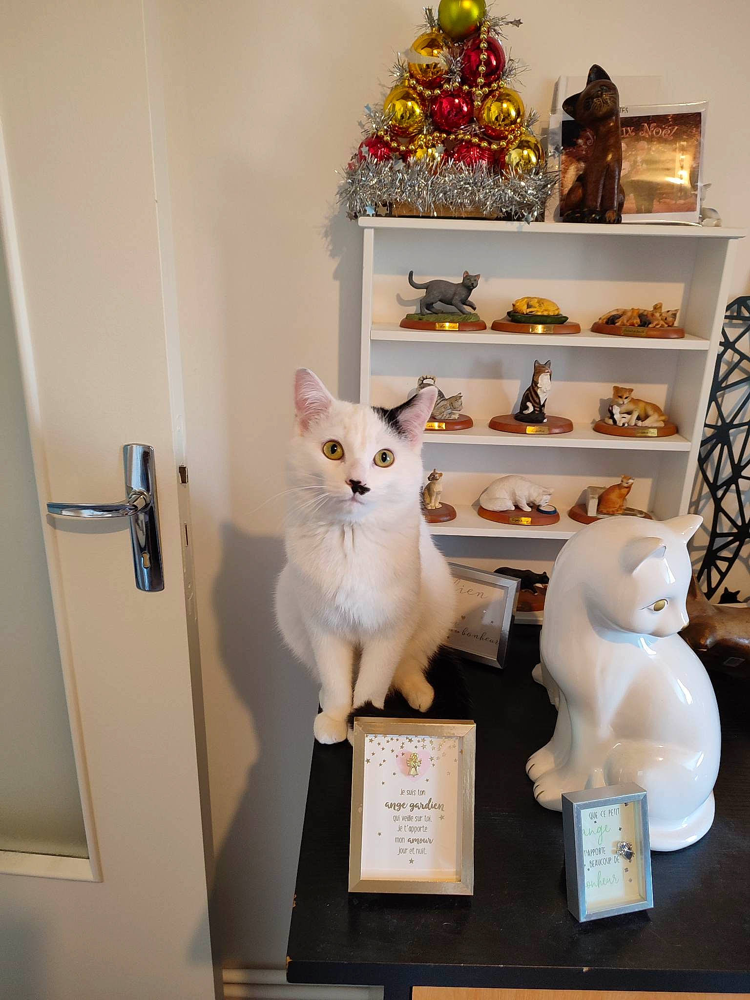 Flocon participe au concours pour gagner de l'argent avec cette photo : art, carnivore, cat, ceramic, collection, creative_arts, display_case, felidae, interior_design, ornament, pattern, porcelain, room, shelf, shelving, small_to_medium_sized_cats, souvenir, stuffed_toy, toy, wood