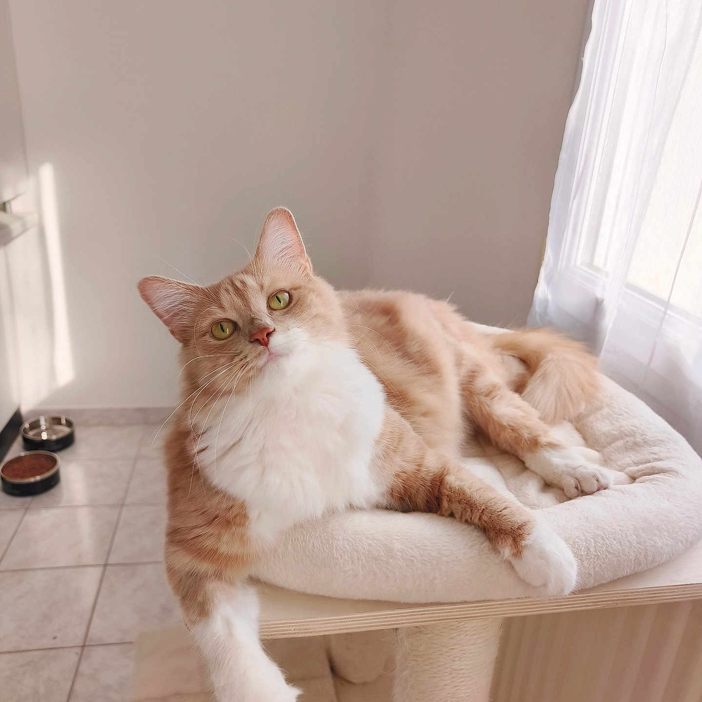 Caramel