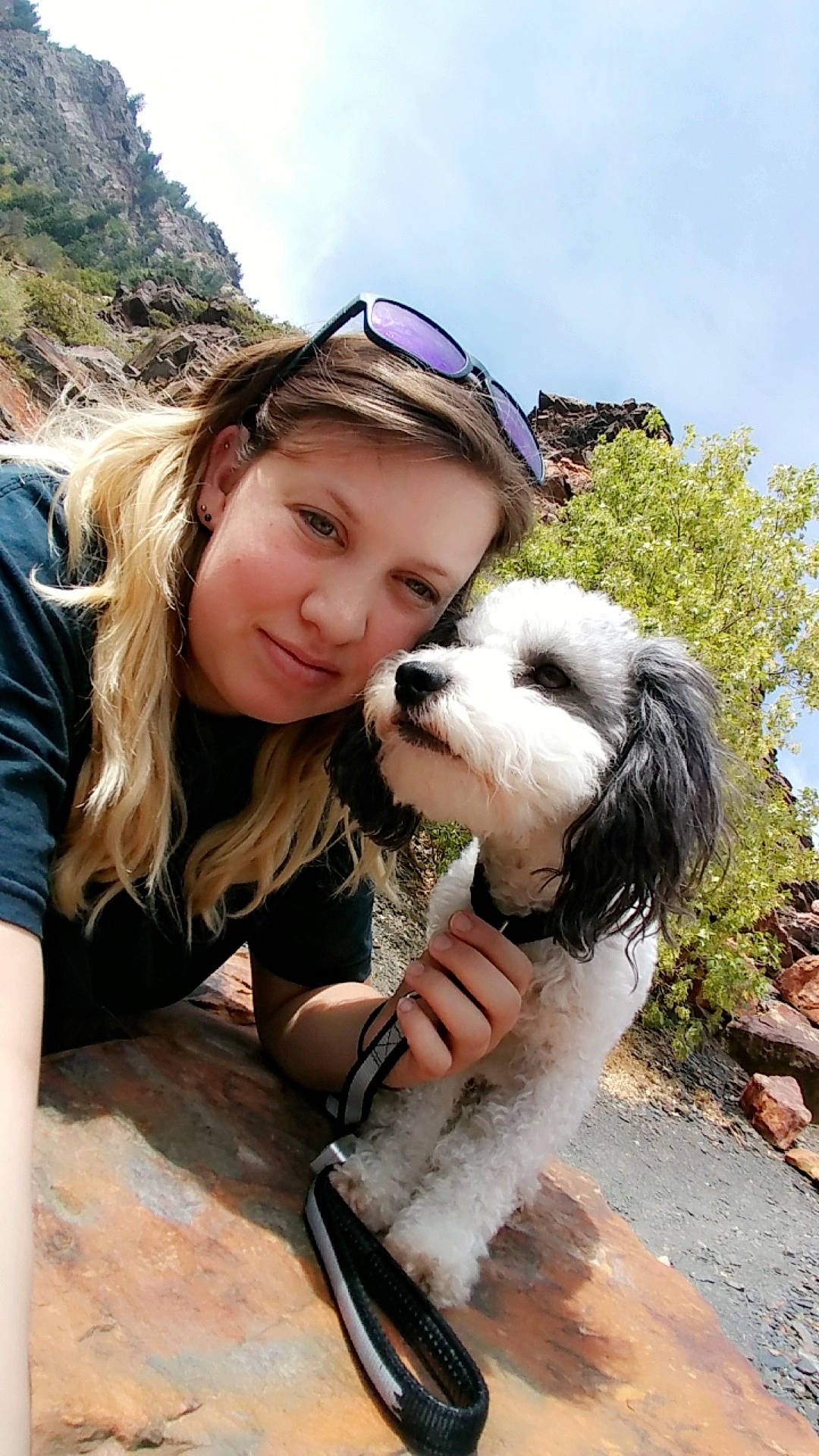 Baby Jack joined the competition — help win amazing prizes! canidae, carnivore, companion_dog, dog, dog_breed, headwear, mammal, person, petit_basset_griffon_vendeen, sapsali, tibetan_terrier