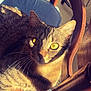 cat, tabby, feline, yellow_eyes, wooden_chair, sunlight, indoor, pet, animal, whiskers, fur, relaxed, curious, closeup, paw, domestic_cat, home, cozy, shadow, portrait