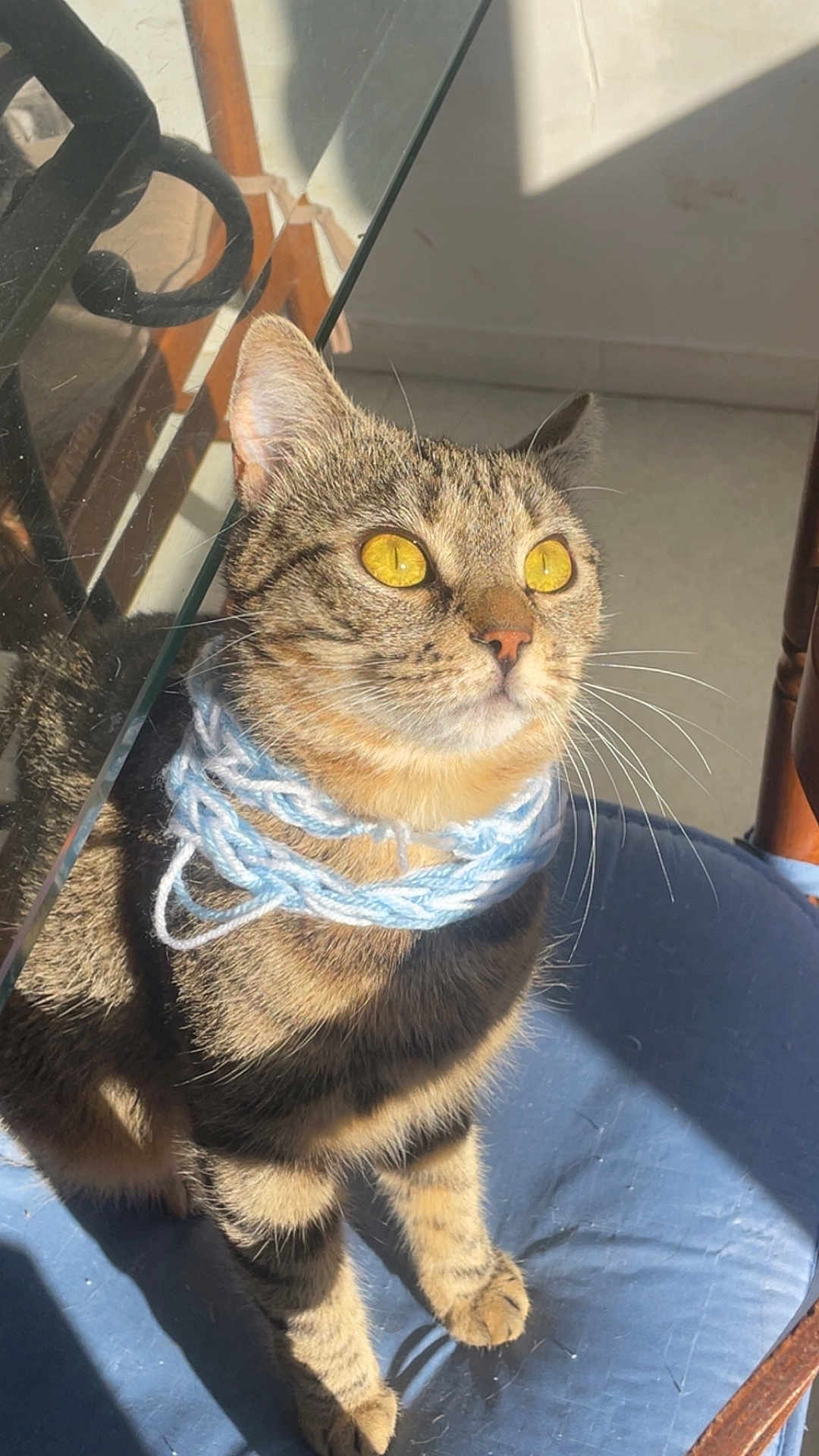 Fifi