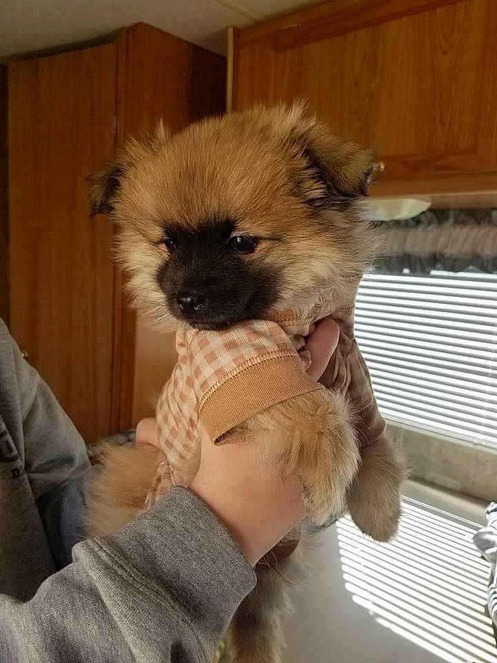 Fluffy