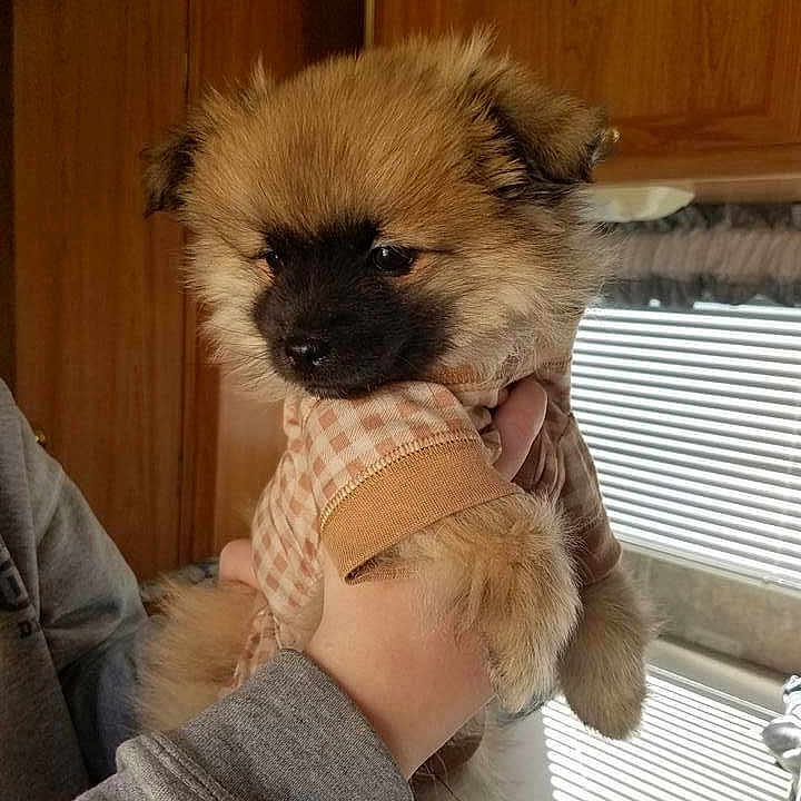 Fluffy
